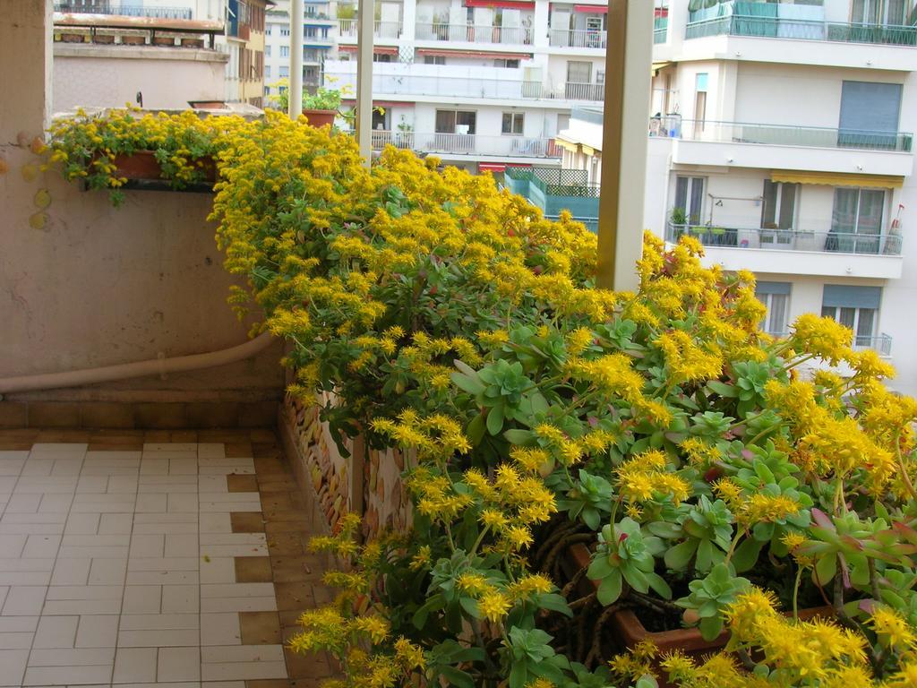 Palladium - Petite Maison De Charme Vintage Apartamento Niza Exterior foto